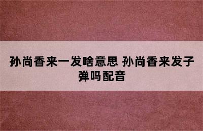 孙尚香来一发啥意思 孙尚香来发子弹吗配音